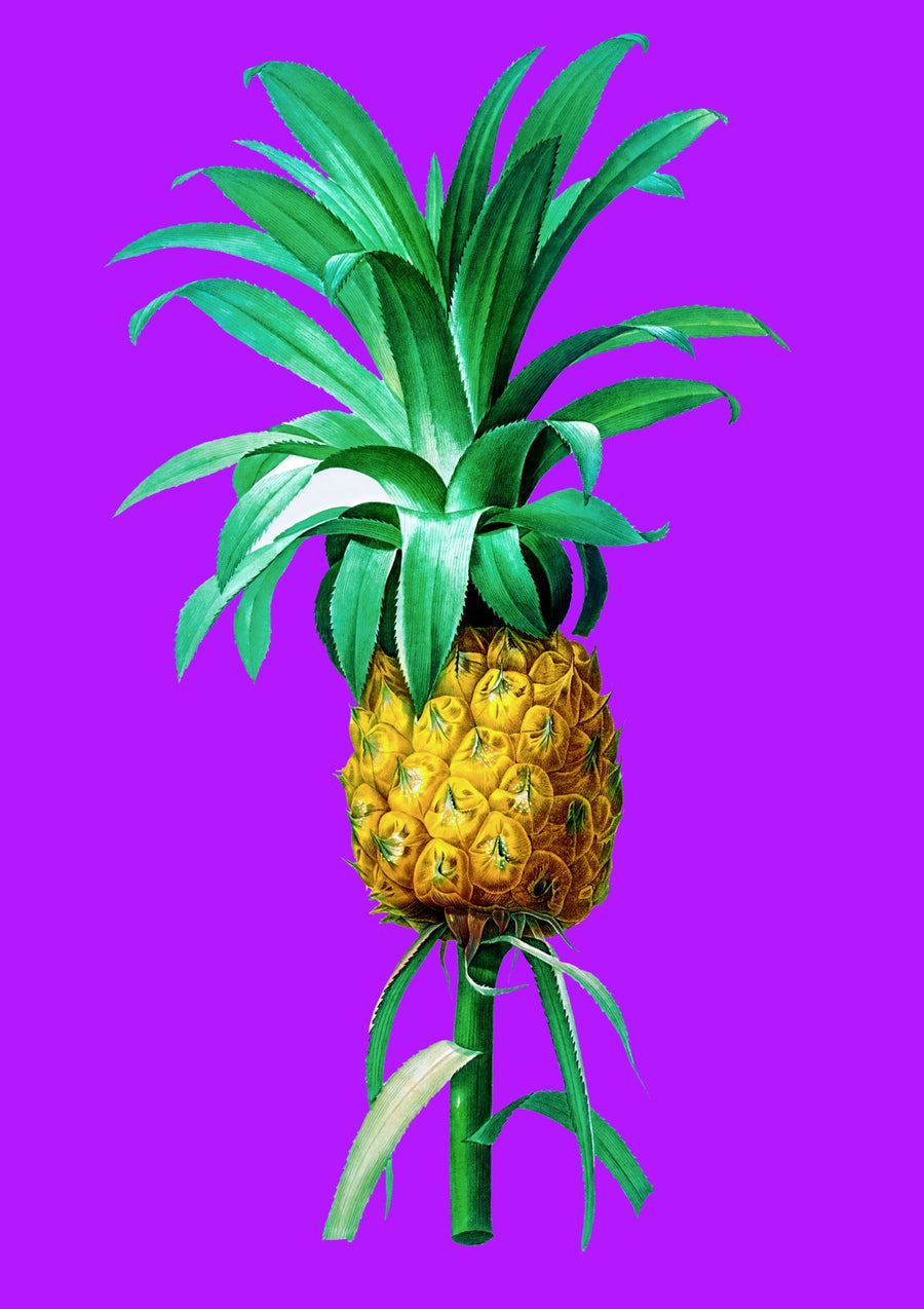 Pineapple on Purple - Print only