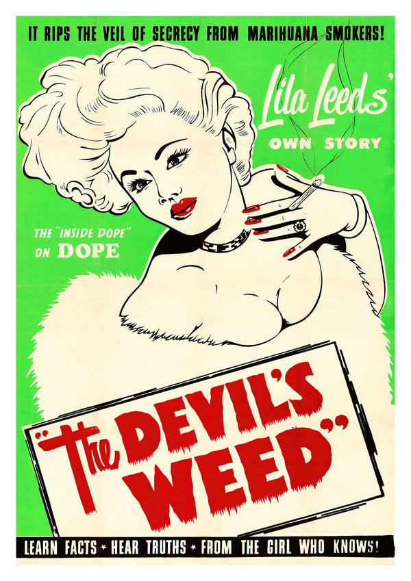 La mauvaise herbe du diable