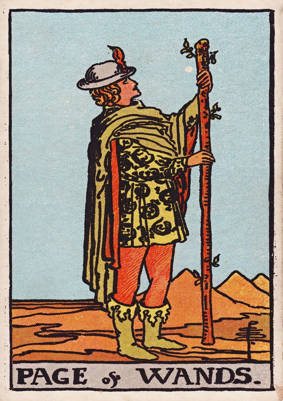 Page of Wands - Print only