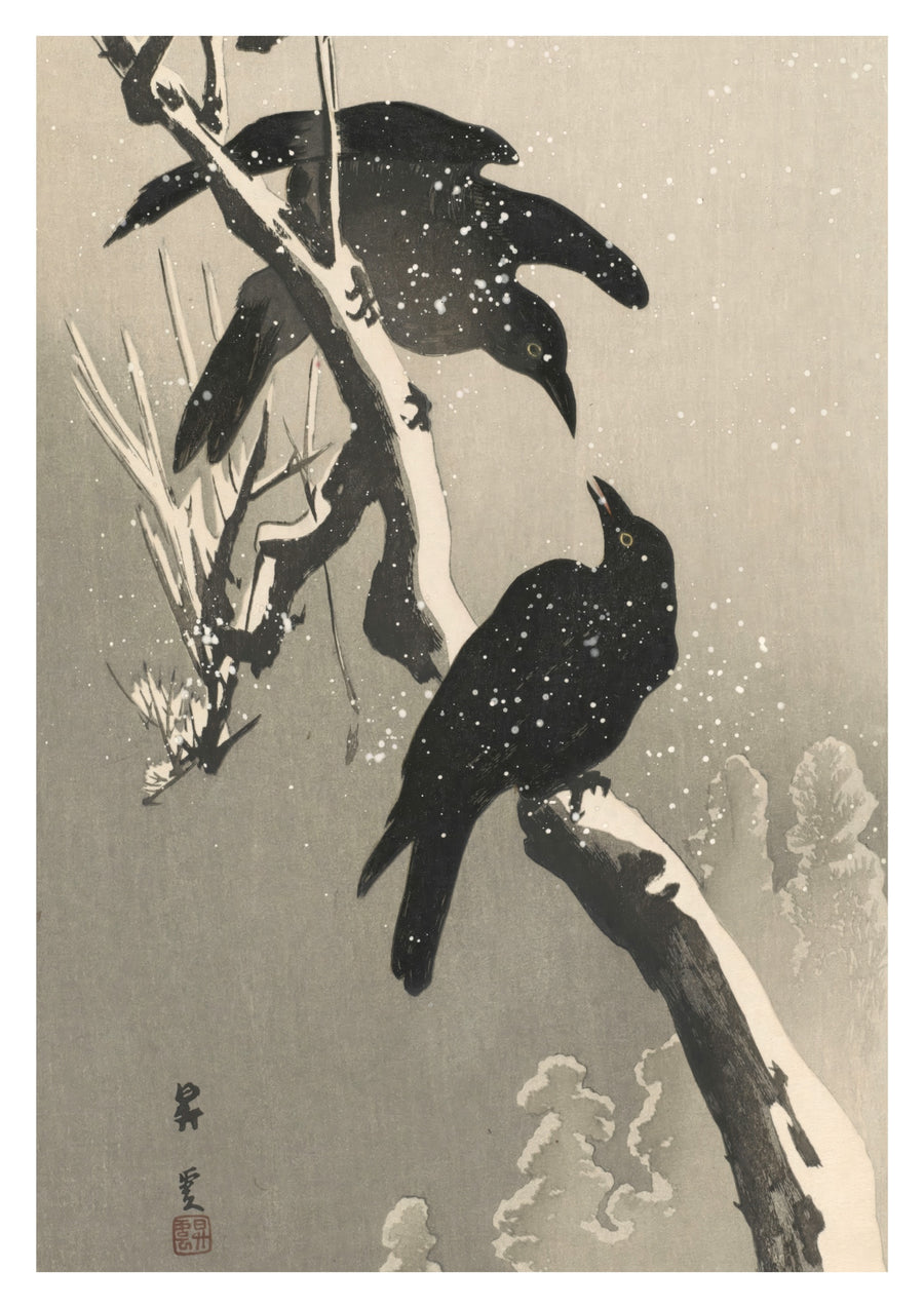Crows - Print only