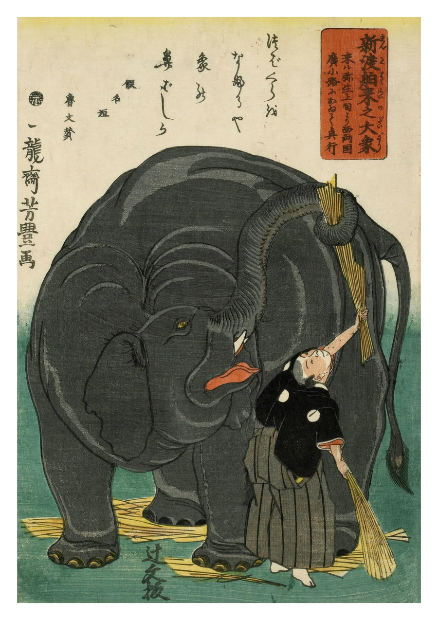 Grote Olifant - Print only