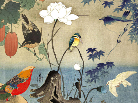 Birds of a Feather: Our Favourite Avian Art