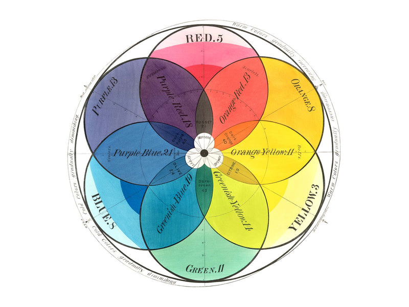 The Basics: Colour Theory