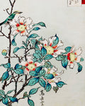 Nakayama Sugakudo
