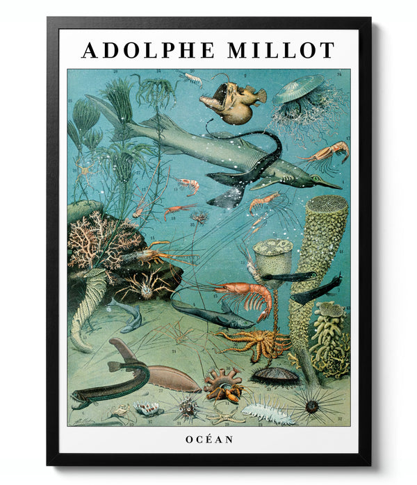 Ocean - Adolphe Millot
