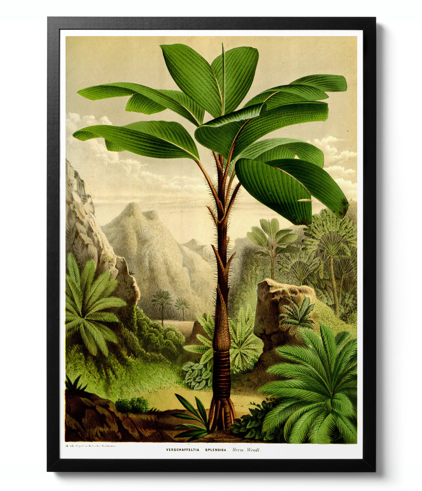 Botanical Gallery Wall