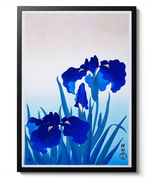 Iris Flowers - Ohara Koson