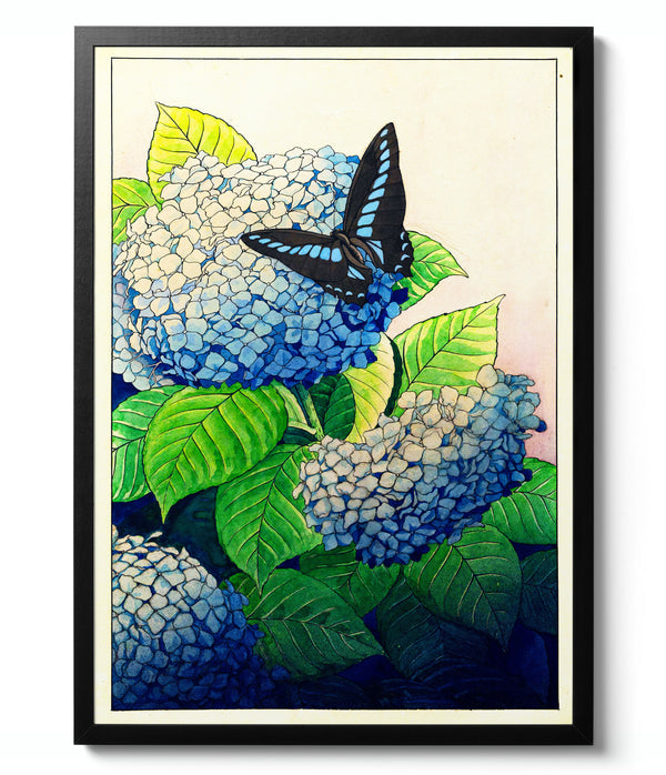 Hydrangeas and Butterfly - Taisui Inuzuka