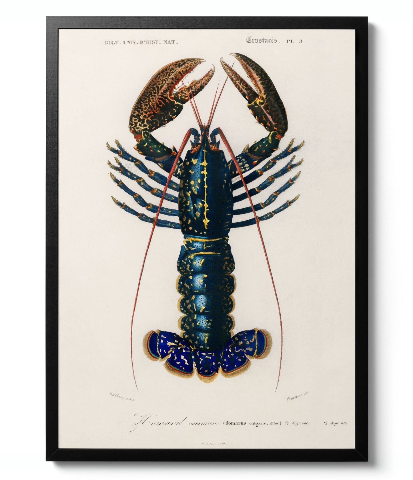 Botanical Gallery Wall