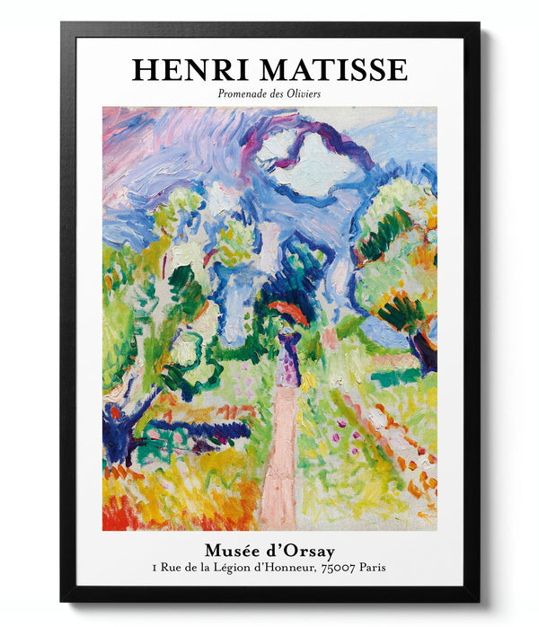 Promenade Des Oliviers - Henri Matisse