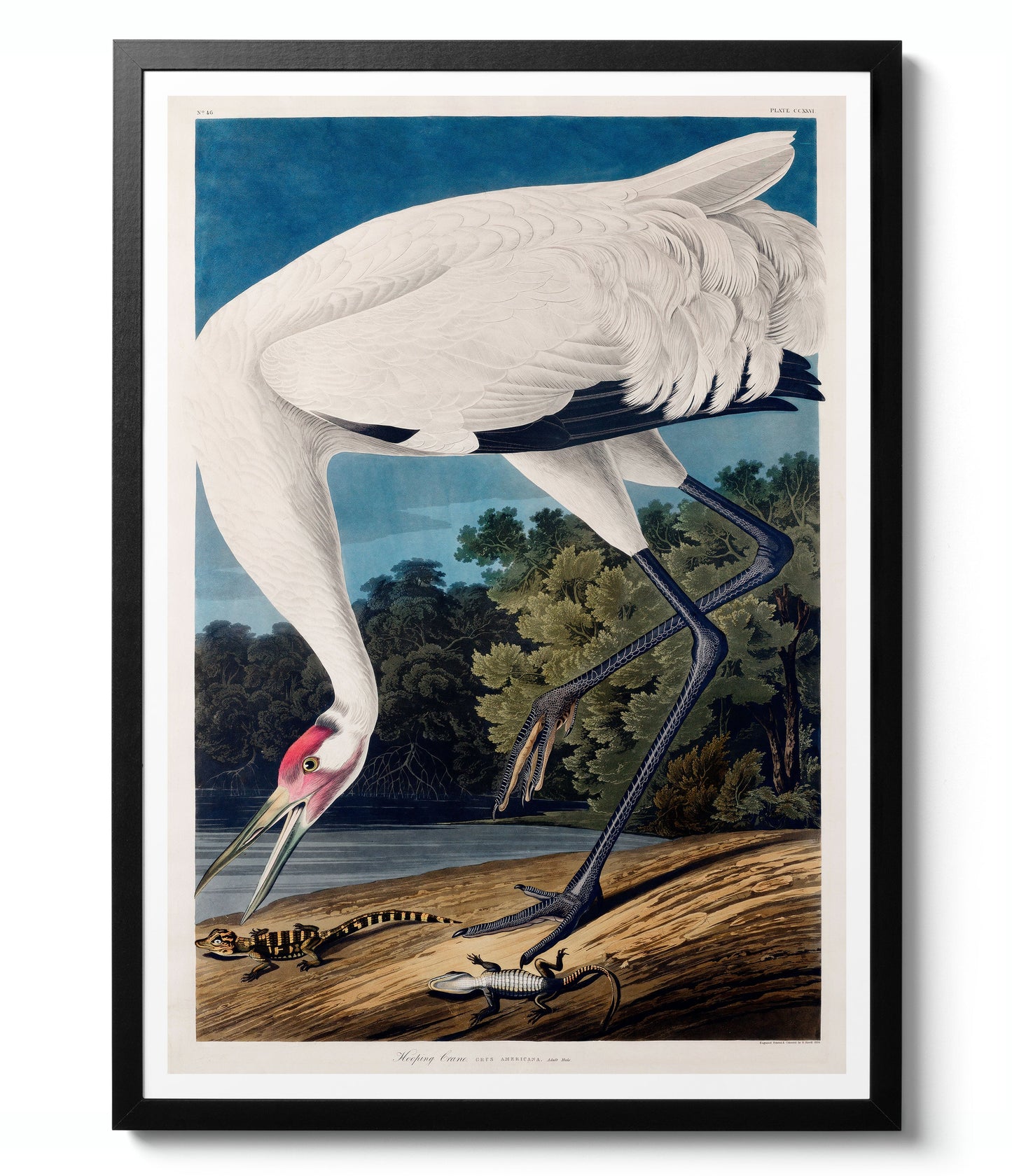 Botanical Gallery Wall