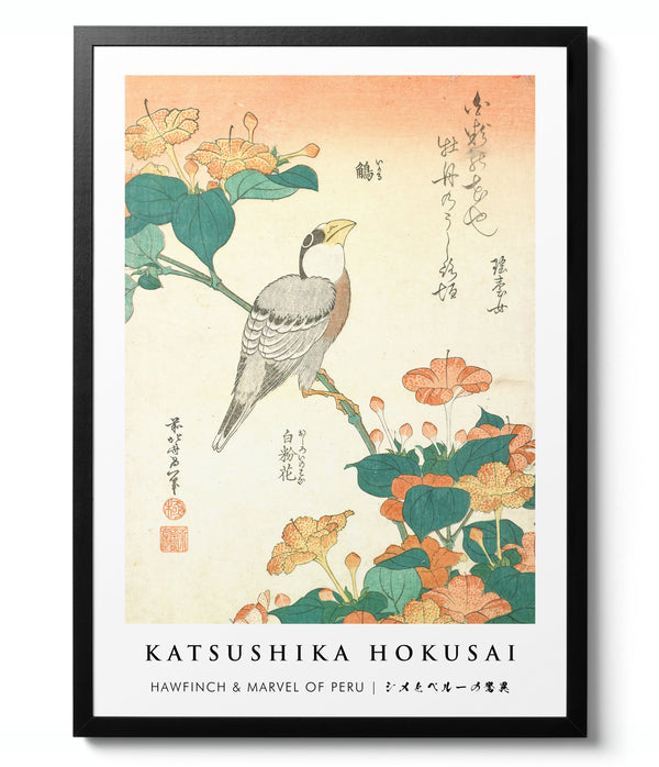 Hawfinch & Marvel of Peru - Katsushika Hokusai