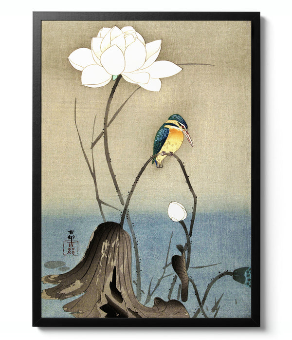 Kingfisher by Flower - Ohara Koson
