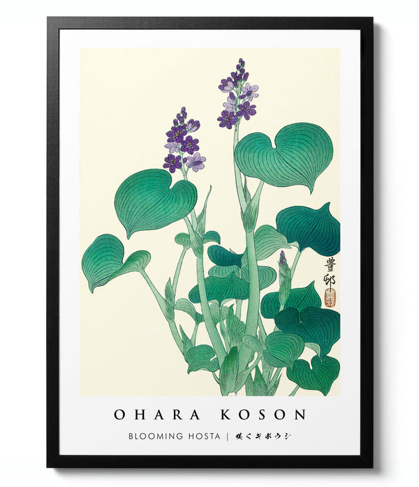 Blooming Hosta - Ohara Koson