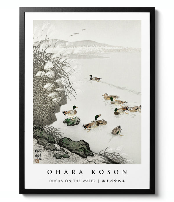 Ducks on the Water - Ohara Koson
