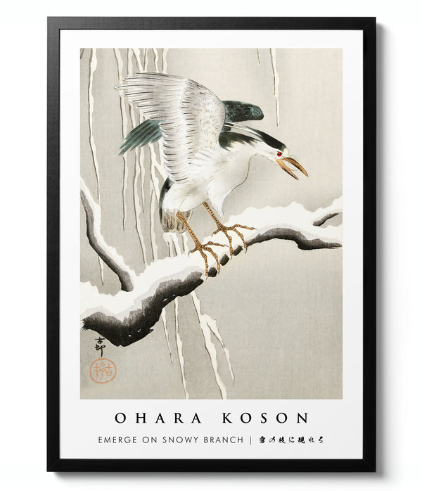 Emerge on Snowy Branch - Ohara Koson