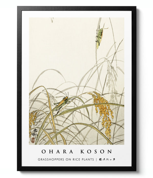 Grasshoppers on Rice Plants - Ohara Koson