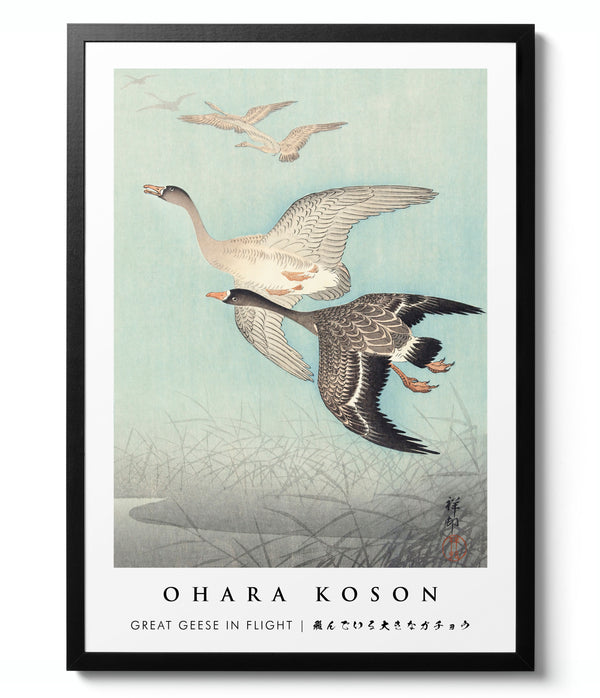 Great Geese in Flight - Ohara Koson