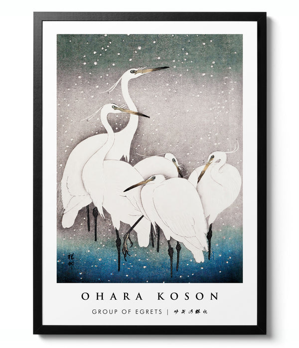 Group of Egrets - Ohara Koson