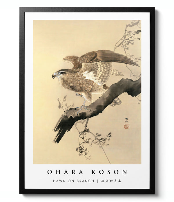 Hawk on Branch - Ohara Koson