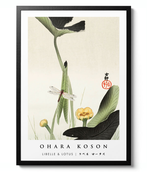 Libelle & Lotus - Ohara Koson