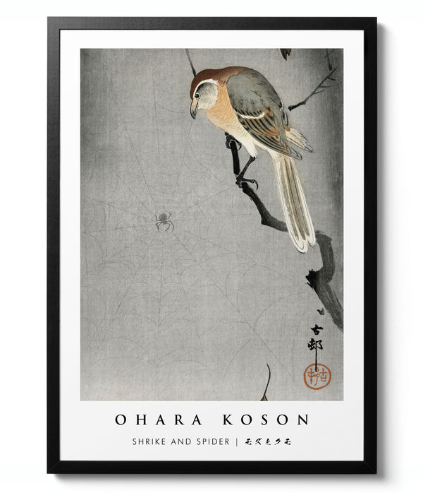 Shrike and Spider - Ohara Koson
