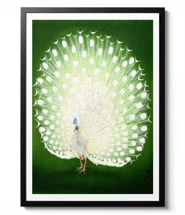 Peacock - Ohara Koson