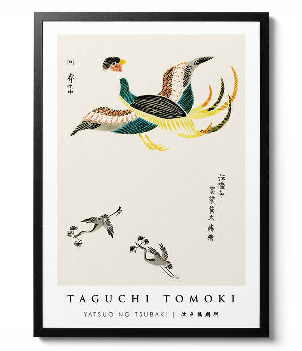 Yatsuo no Tsubaki 3 - Taguchi Tomoki