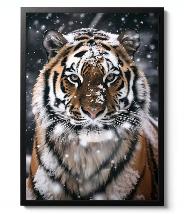 Snowy Tiger - Nature Photography