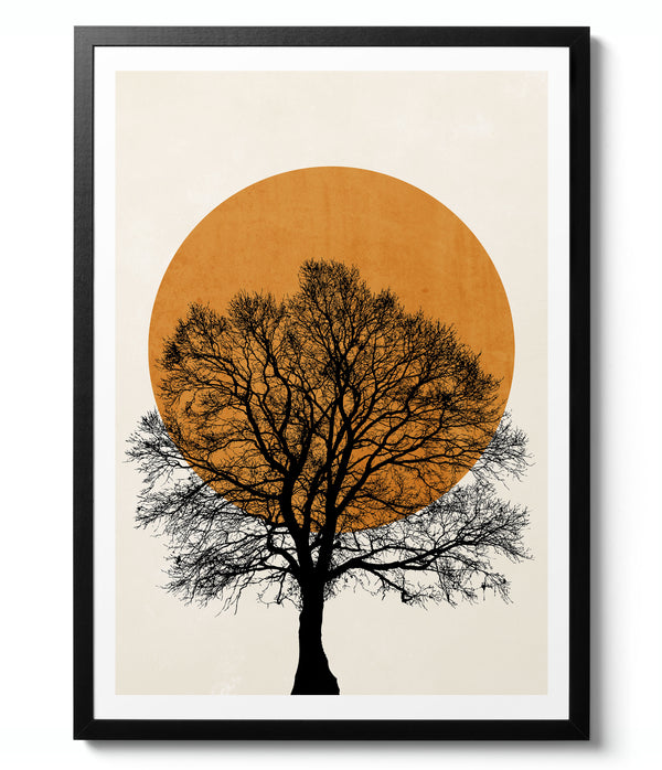 Tree Sun