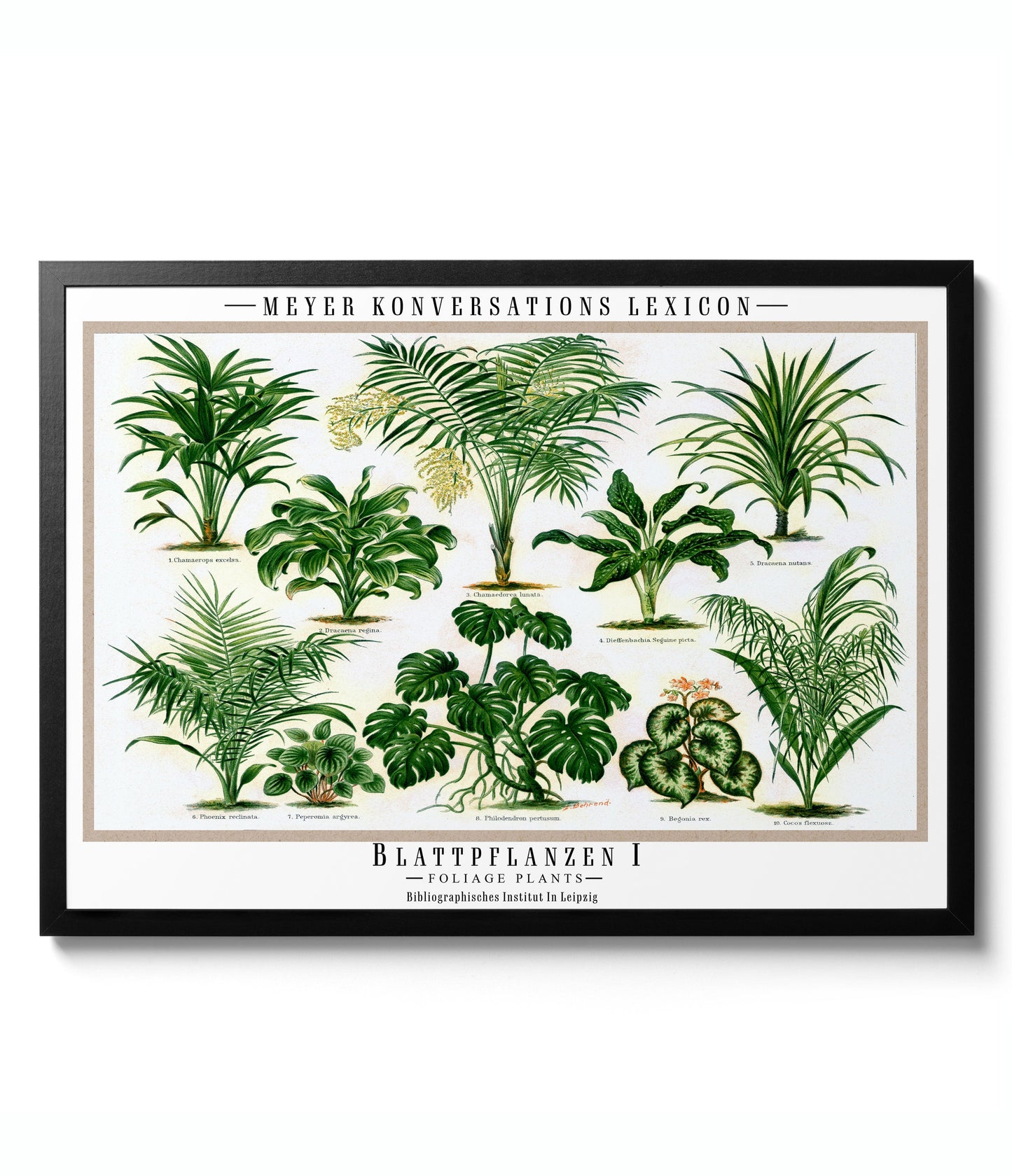 Botanical Gallery Wall