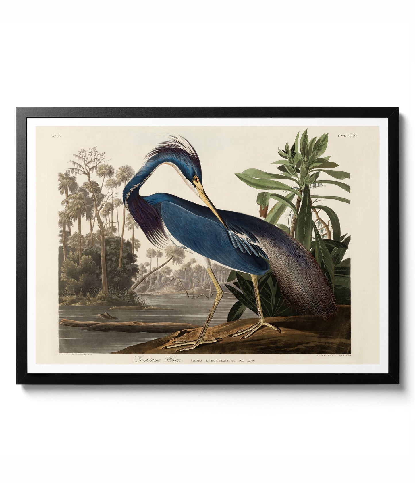 Vintage lantgårdsgalleri vägg