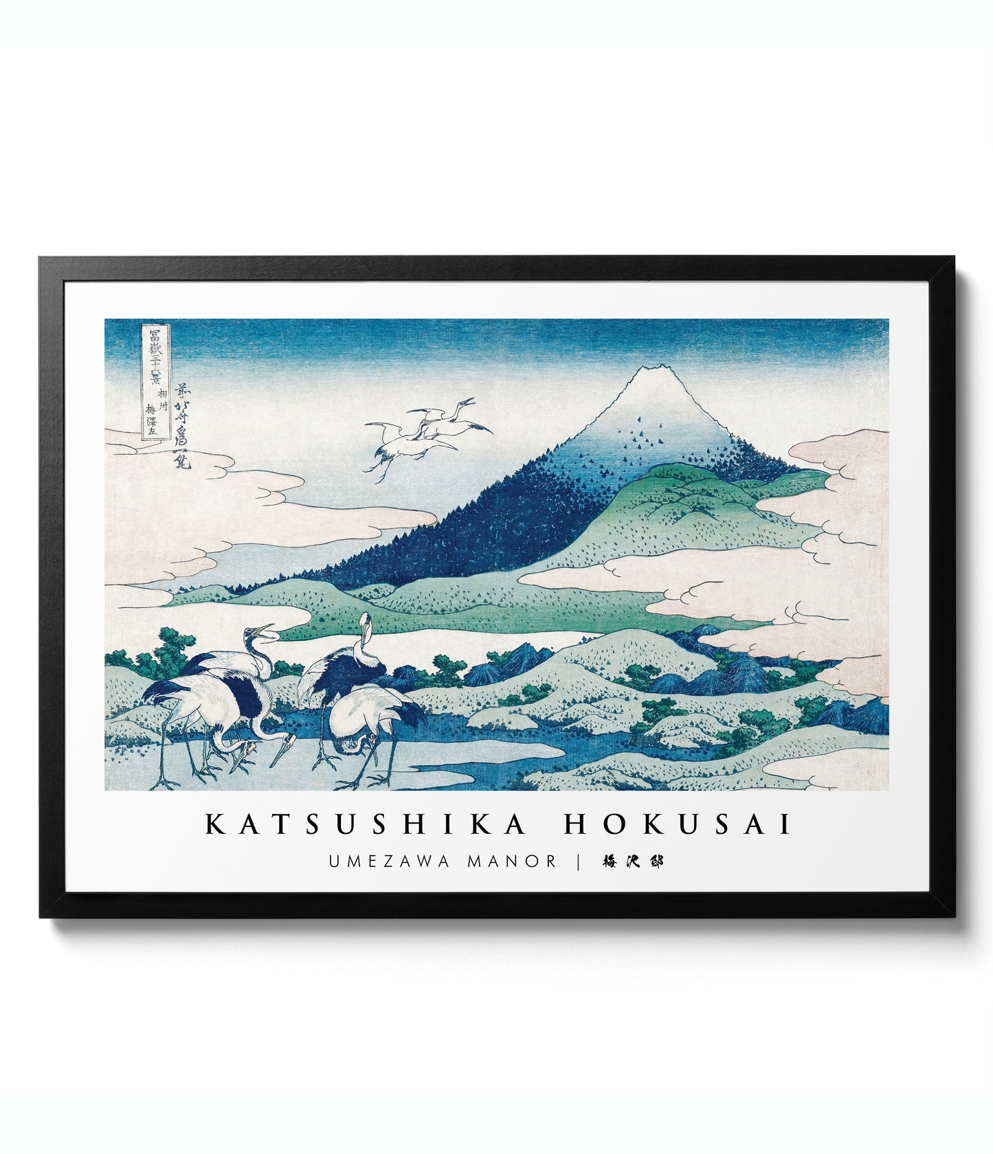 Blauwe Kunstgalerij Muur