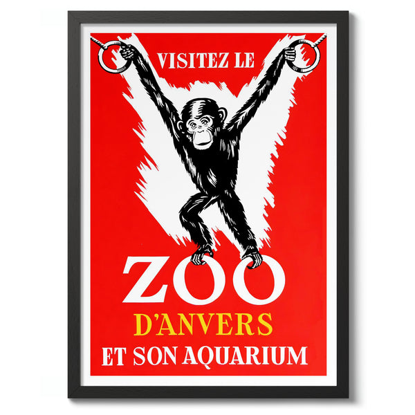 Zoo, Anverz