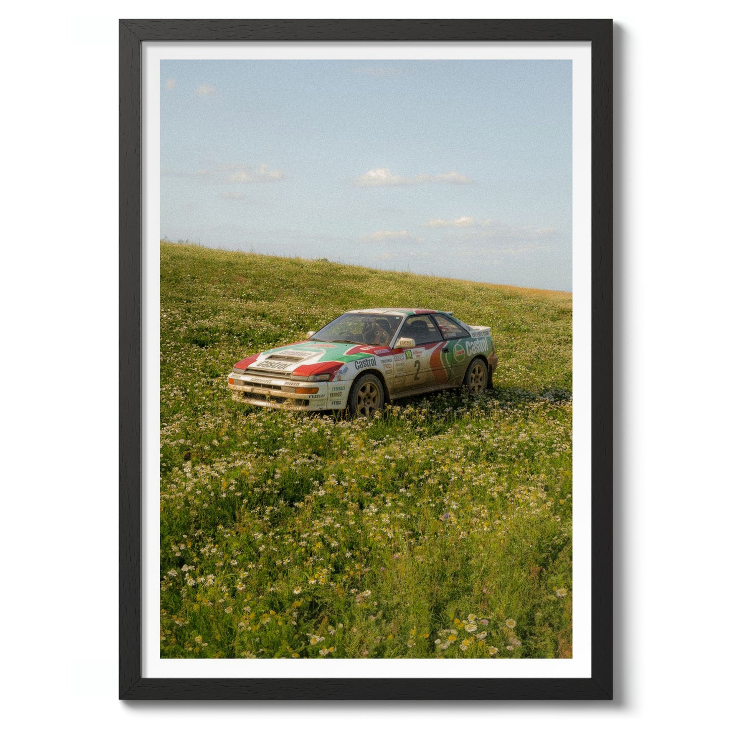 Rally Meadow, Afternoon