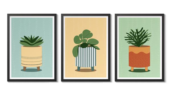 Houseplants