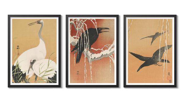 Koson's Orange Birds