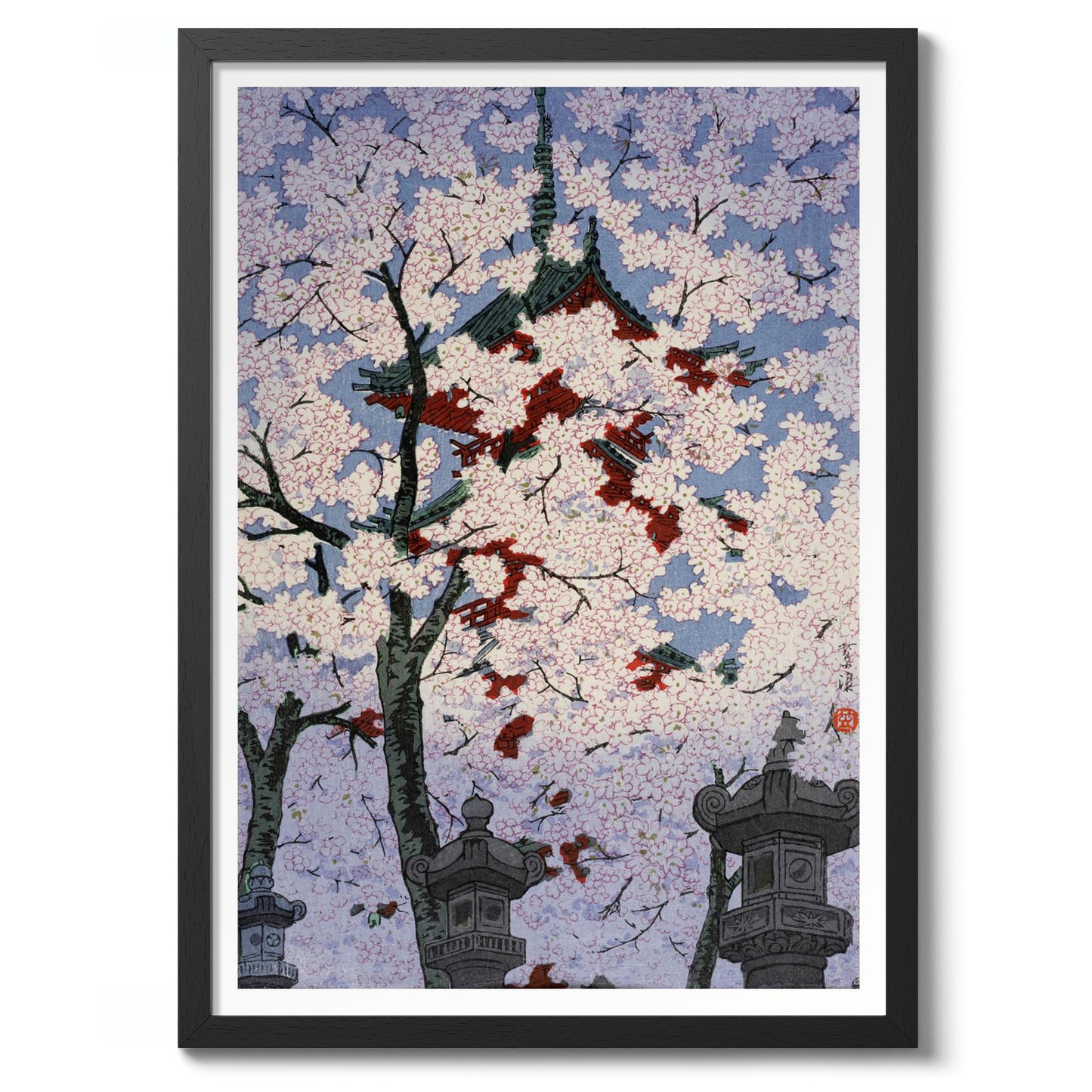 Körsbärsblommor i Ueno Toshogo