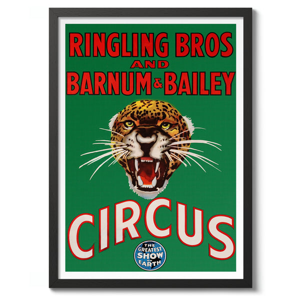 Ringling Circus