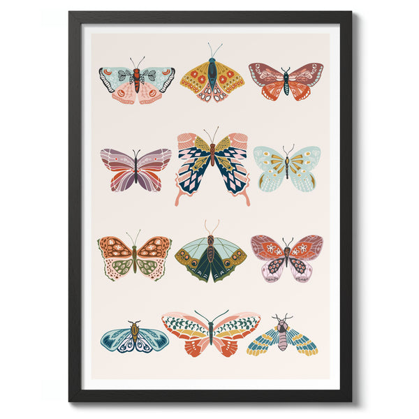 Butterfly Illustrations