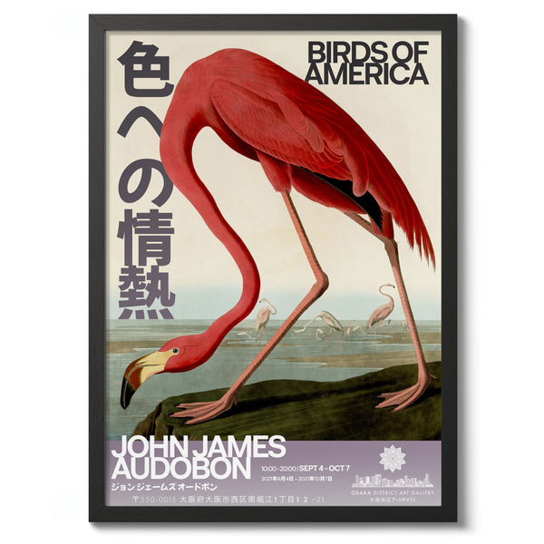 Birds of America, John James Audobon