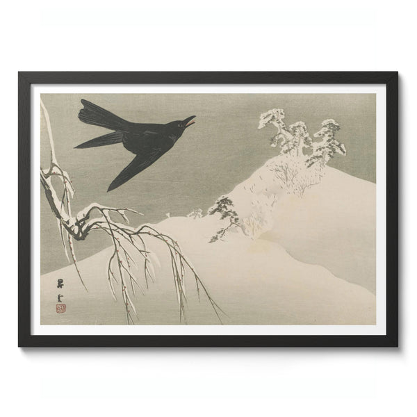 Crows in Snow