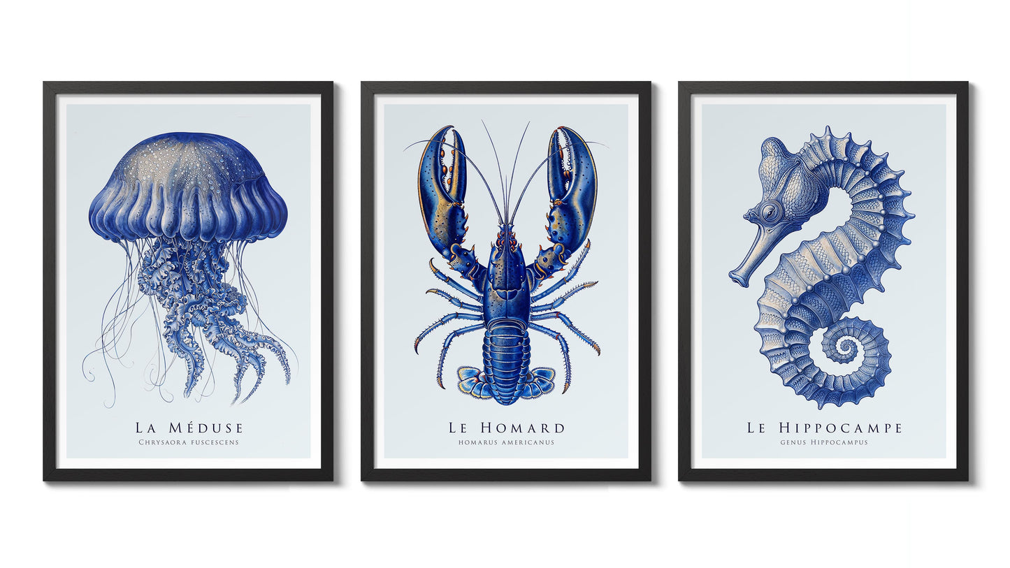 Blaue Meer Lebensausstellung