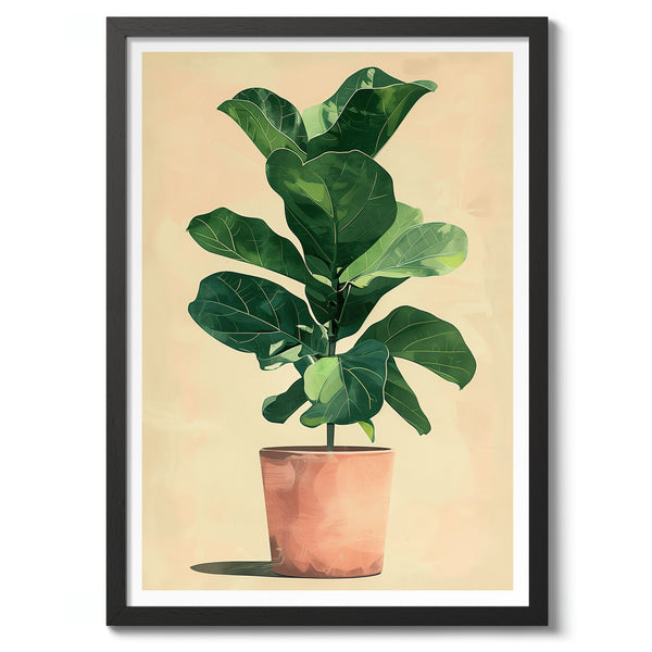 Plant Illustration