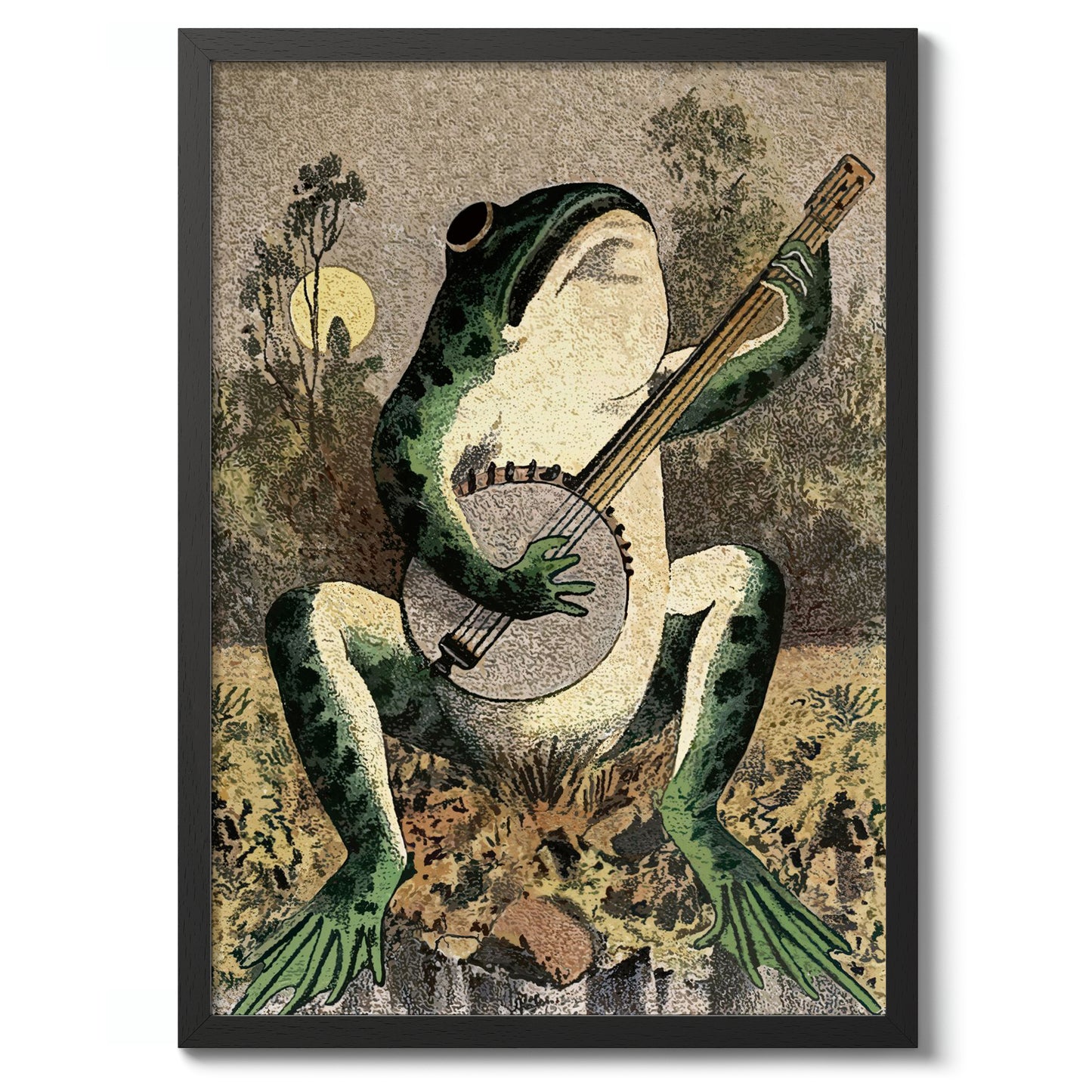 Frog Playing Banjo