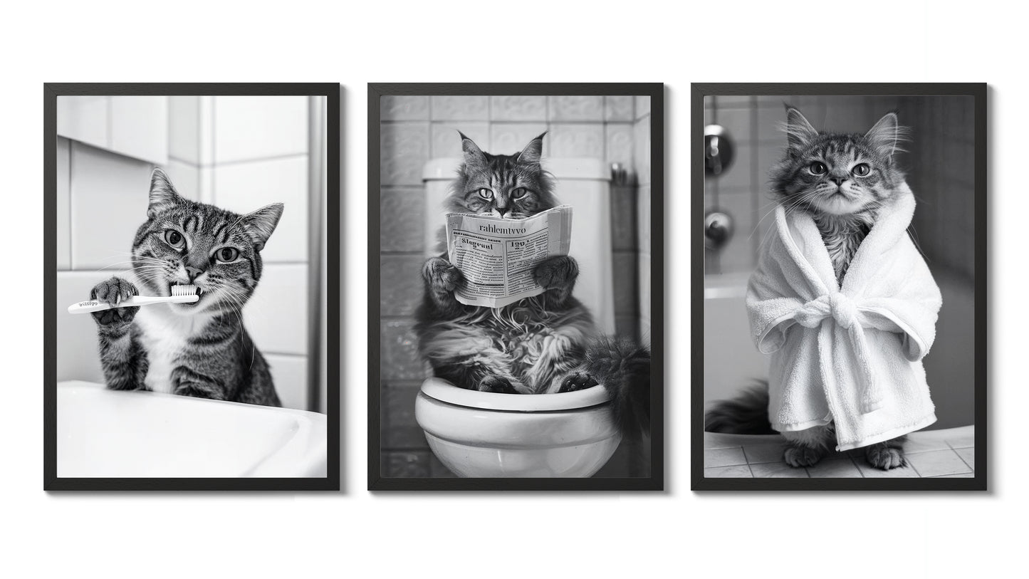 Badrum Katter Fotografi Trio