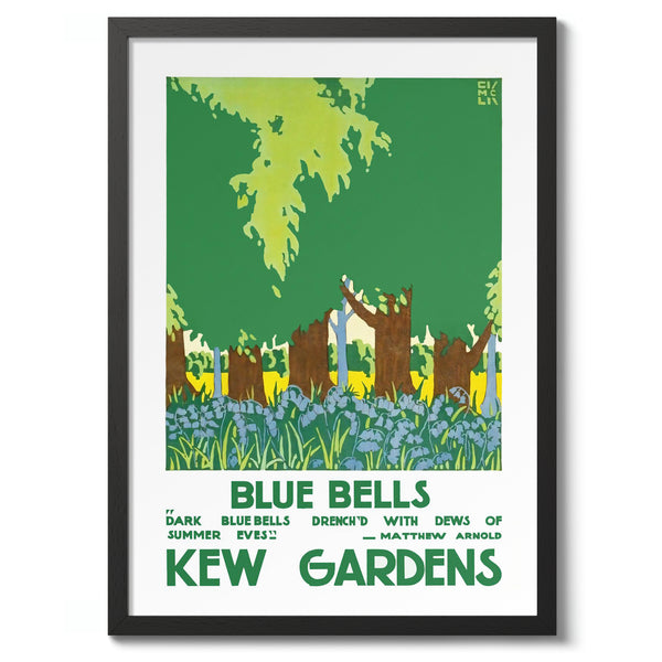 Bluebells, Kew Gardens