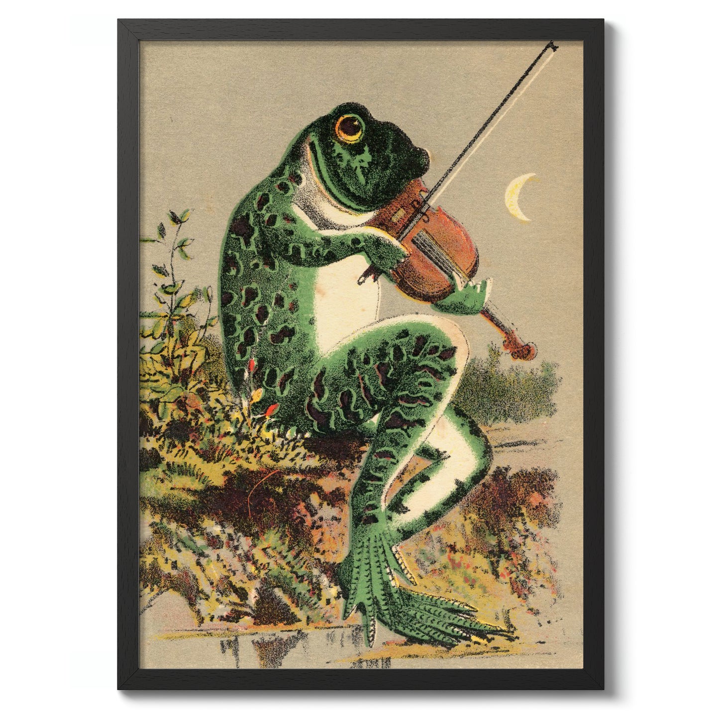 Kikker die viool speelt