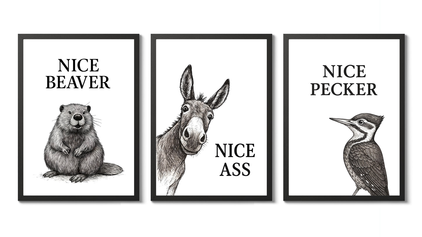 Collection d'animaux drôles