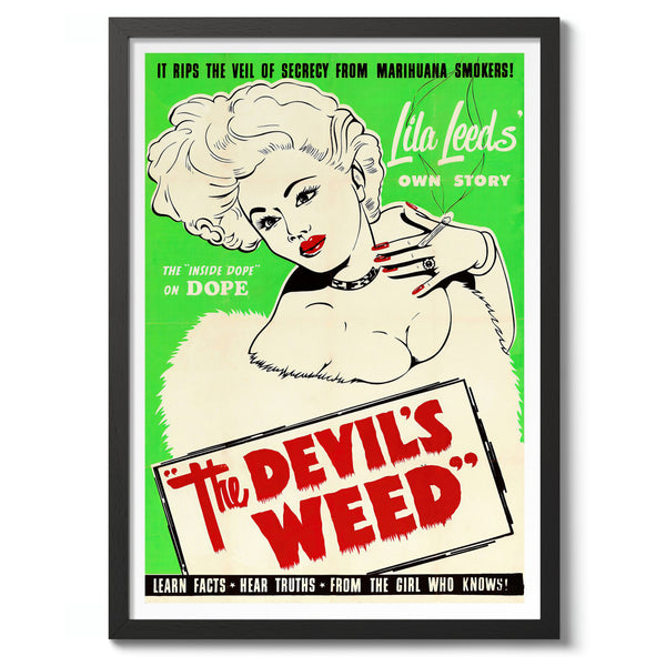 The Devil's Weed